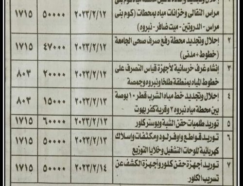 مناقصة عامة : شركة مياه الشرب والصرف الصحي بالدقهلية.